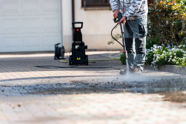 Professional Pressure Washing in South Miami Heights, FL